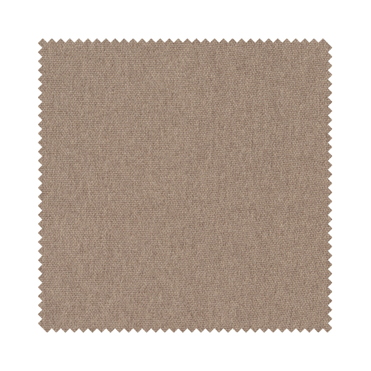 Vera Caramel Motorised - Image 6