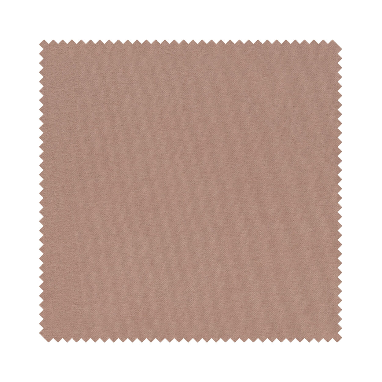 Zane Nougat Motorised - Image 6
