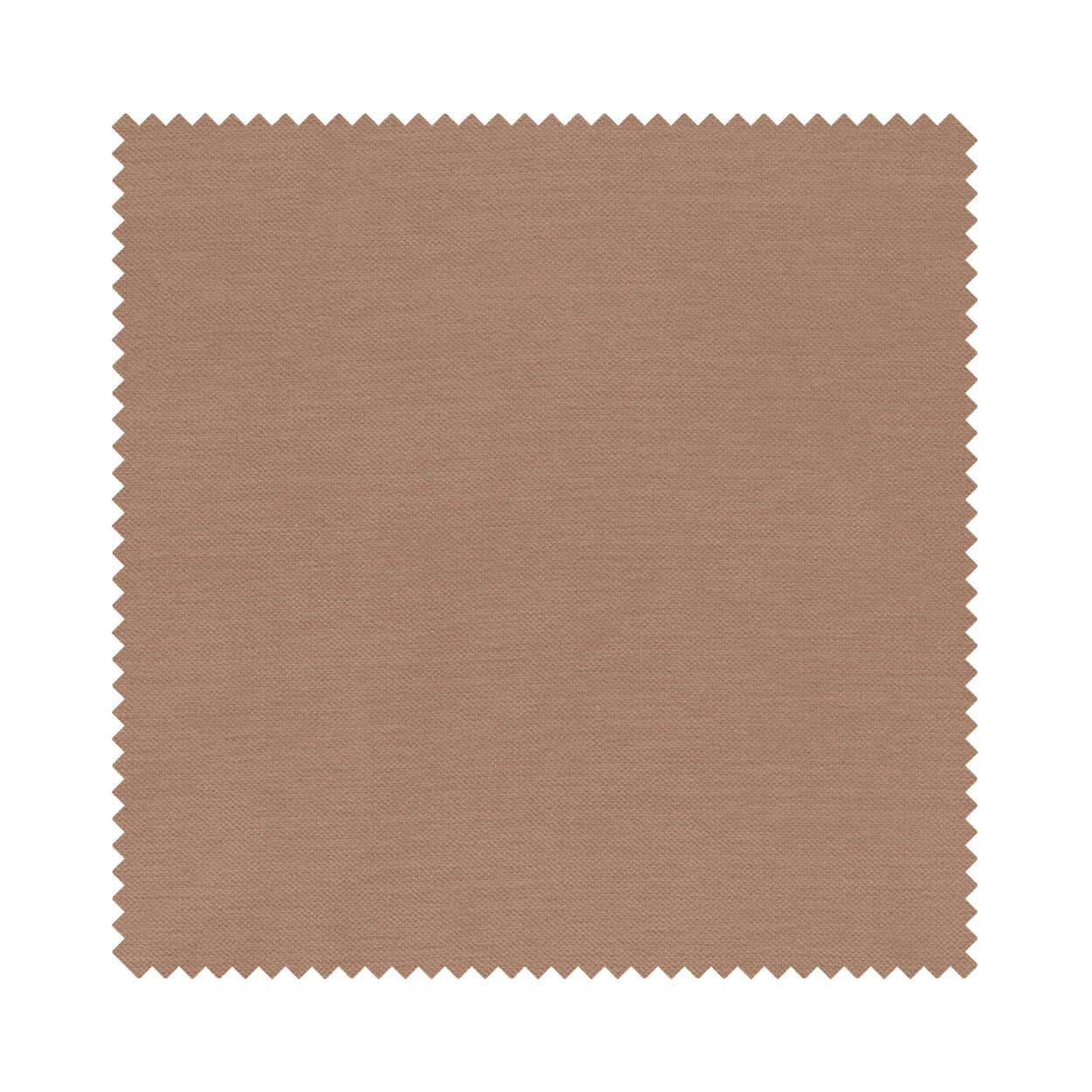 Zane Latte Motorised - Image 6