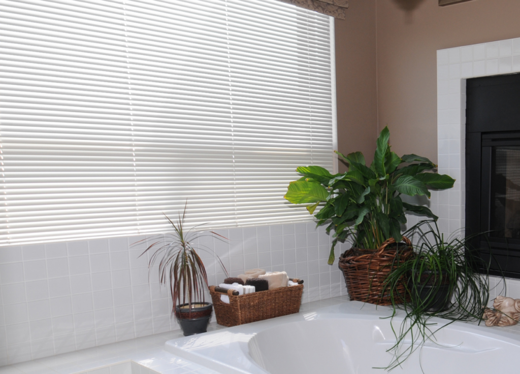 Motorised blinds article image