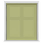 Dover Pale Glade Motorised Roller Blind