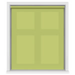 Chester Kiwi Motorised Roller Blind