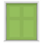 Easton Fresh Kiwi Motorised Roller Blind