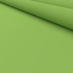 Easton Fresh Kiwi Motorised Roller Blind